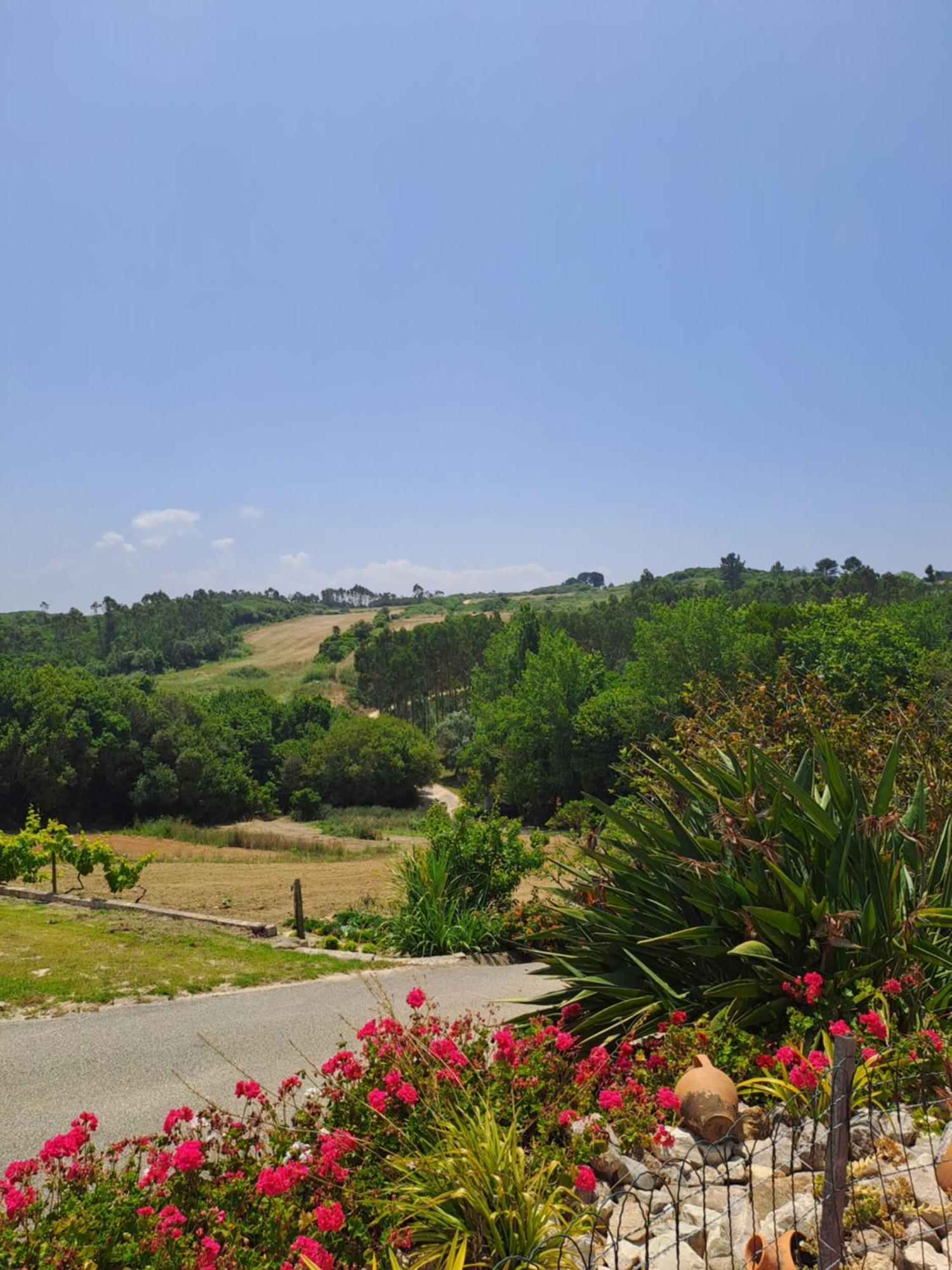הוילה קלדס דה ריינה Quinta Da Fonte - Casa Da Charrete מראה חיצוני תמונה